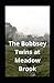 The Bobbsey Twins at Meadow...