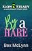 By a Hare (Slow & Steady, #1)