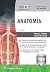 Serie RT. Anatomía (Board R...