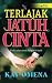 Terlajak Jatuh Cinta
