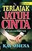 Terlajak Jatuh Cinta