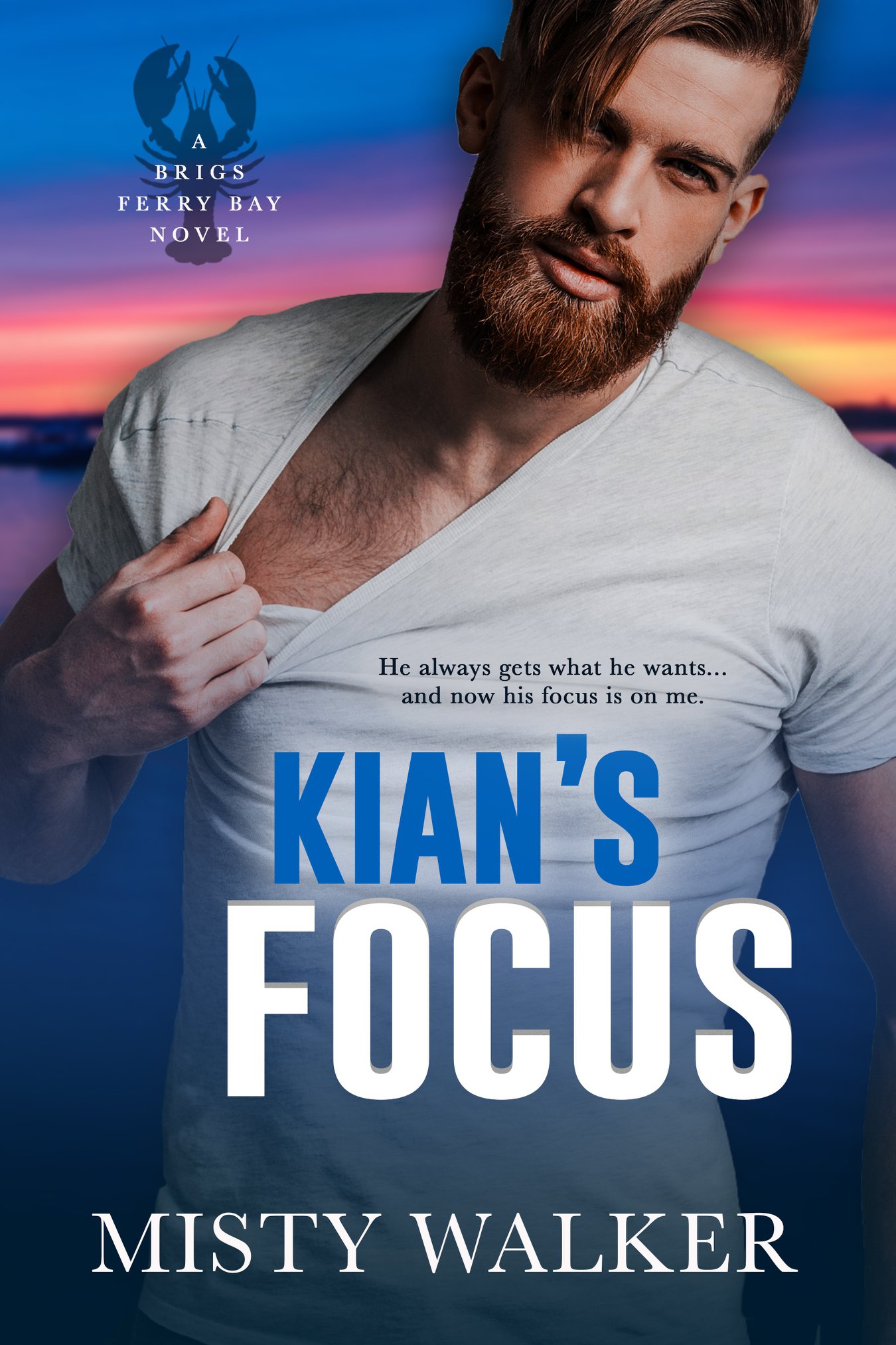 Kian's Focus (Brigs Ferry Bay, #2)