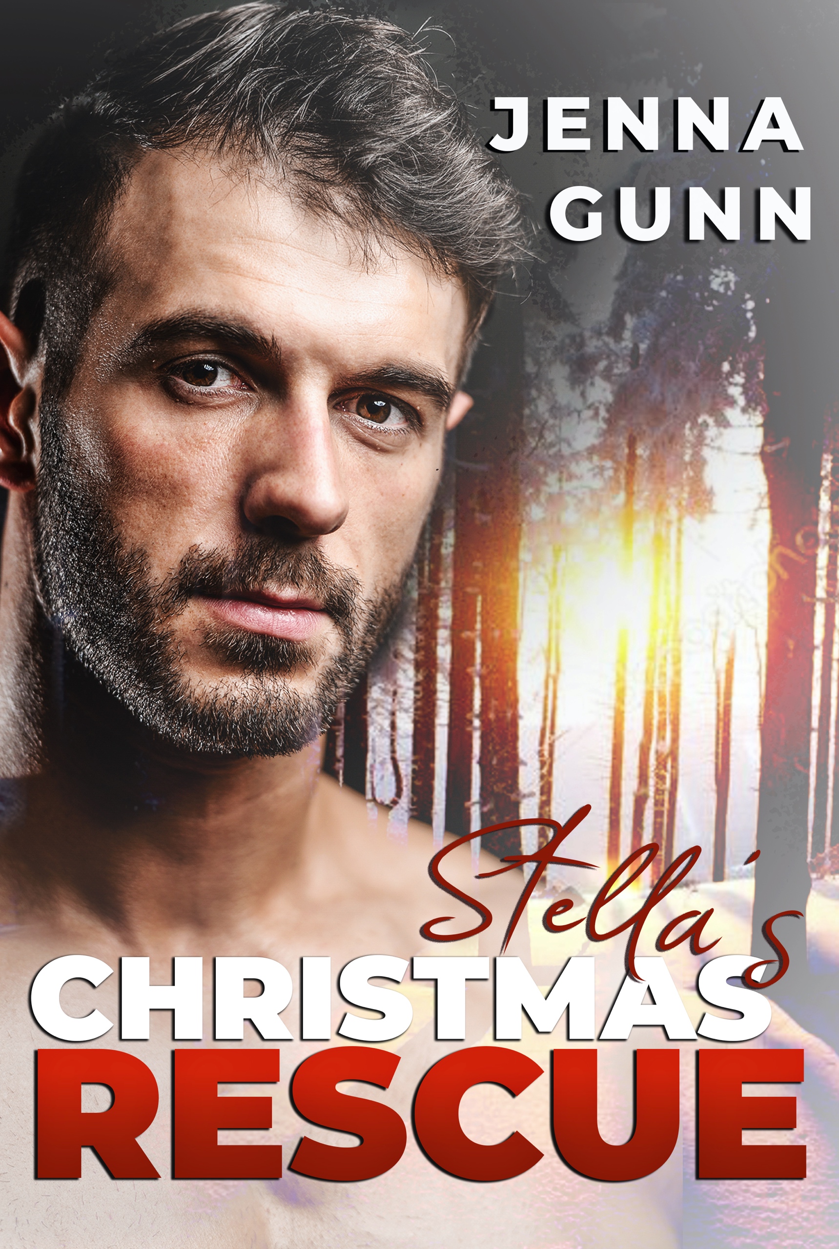Stella's Christmas Rescue (ebook)