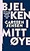 Bjelken i mitt øye : om den evige krig og gleden ved å slå hverandre ihjel