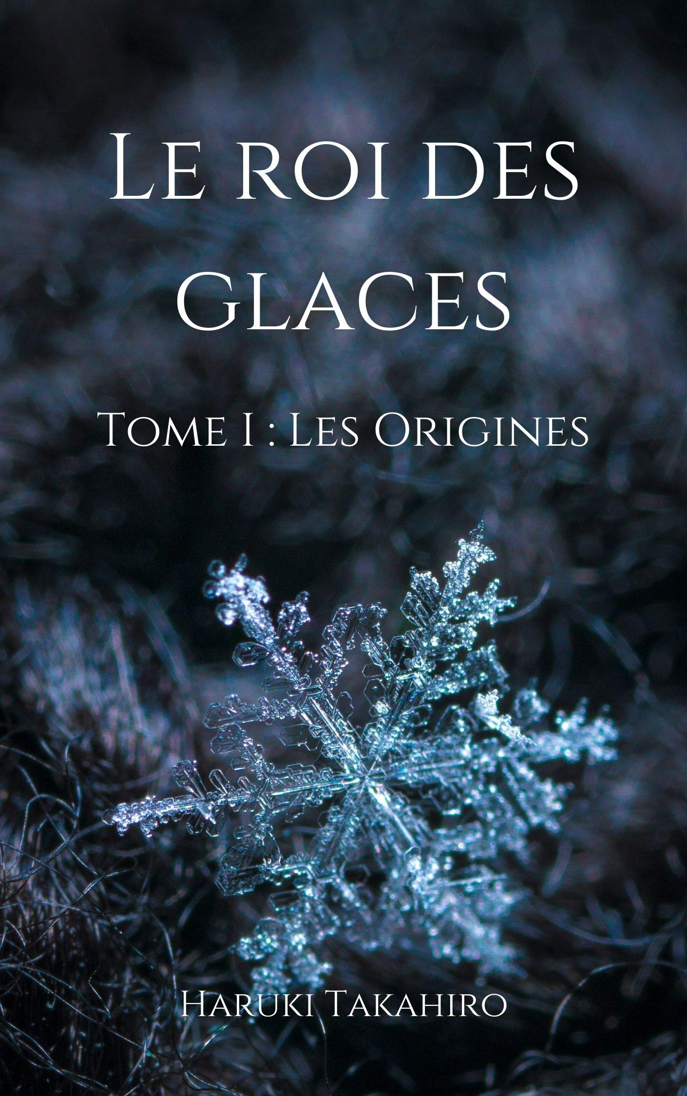 Le roi des glaces: Tome I : Les origines (French Edition)