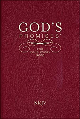 God's Promises for Your Every Need (Paperback)