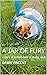 A Jar of Fury: a story of b...