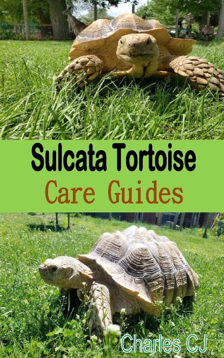 Sulcata Tortoise Care Guides The Super Guides On How To Care For Your Sulcata Tortoise Charles Cj Pdf Epub Fb2 Djvu Audiobook Mp3 Doc Rtf Download