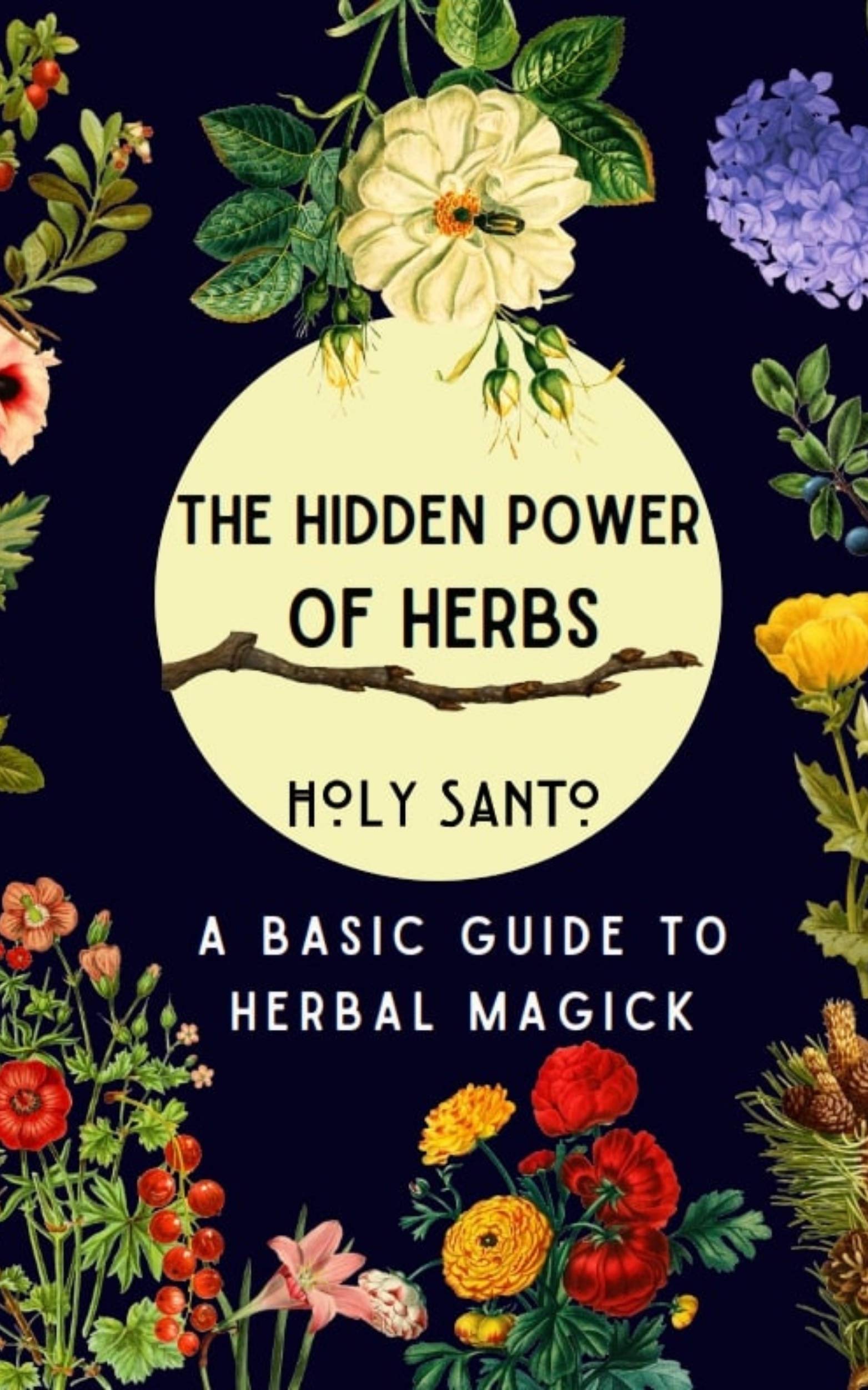 The Hidden Power of Herbs: A Basic Guide to Herbal Magick (Kindle Edition)