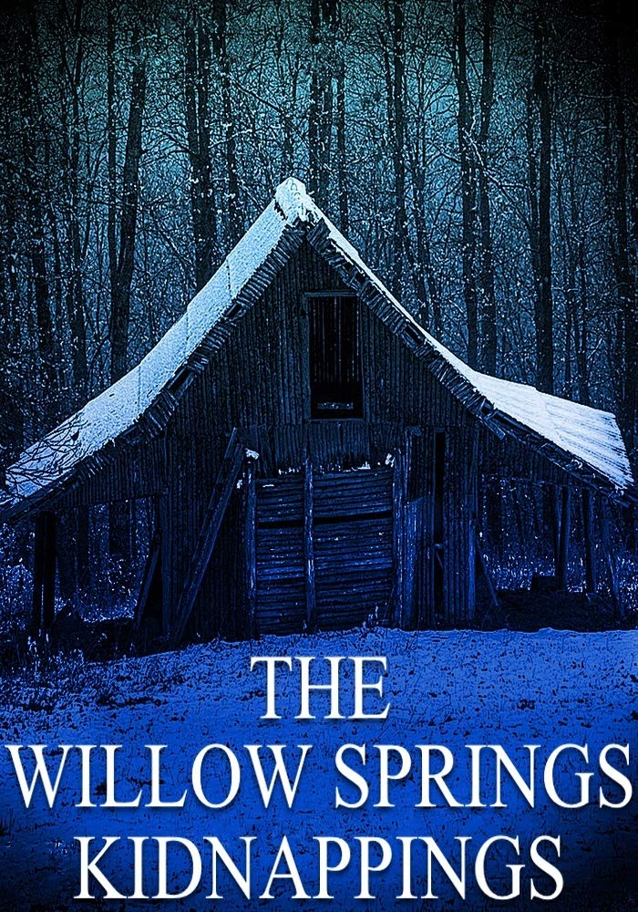 The Willow Springs Kidnappings (A Riveting Kidnapping Mystery, #26)