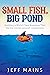 Small Fish Big Pond by Jeff Mains