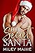 Her Secret Santa (Perfect K...