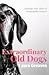 Extraordinary Old Dogs by Laura Greaves