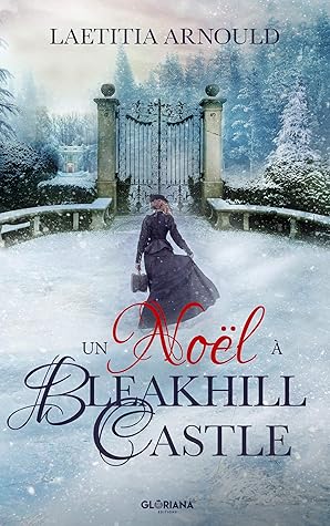 Un Noël à Bleakhill Castle: une histoire de Noël
