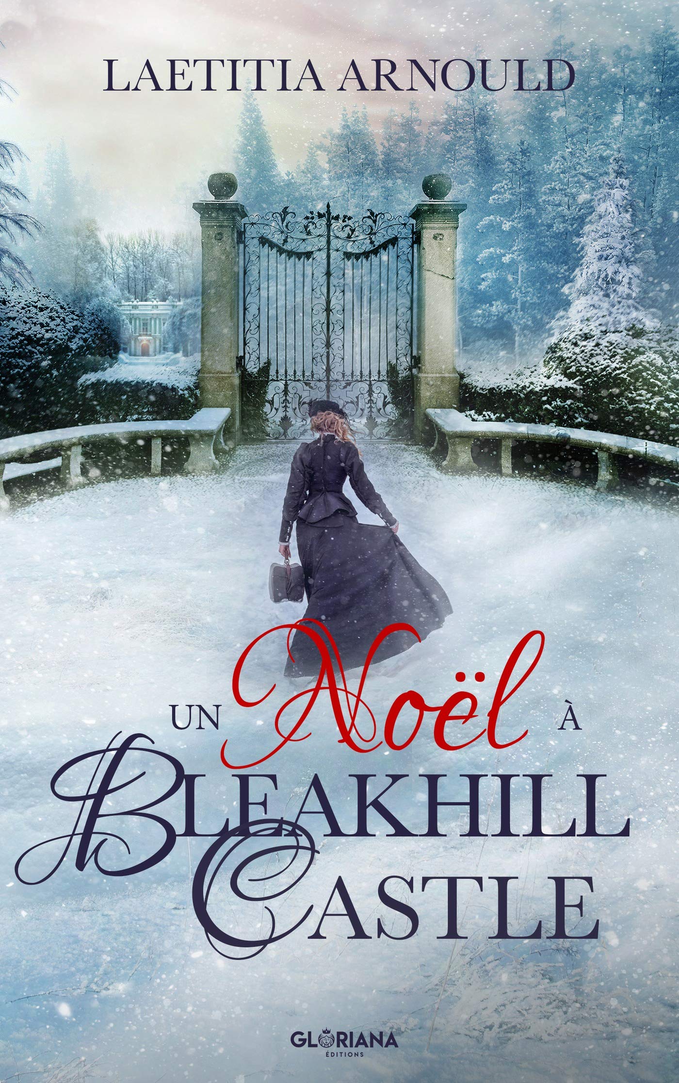 Un Noël à Bleakhill Castle: une histoire de Noël (Kindle Edition)