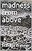 Madness from above (Madness The Series Book 1)