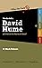 Who the Hell is David Hume?: And what are his theories all about? (Who the Hell is...?)