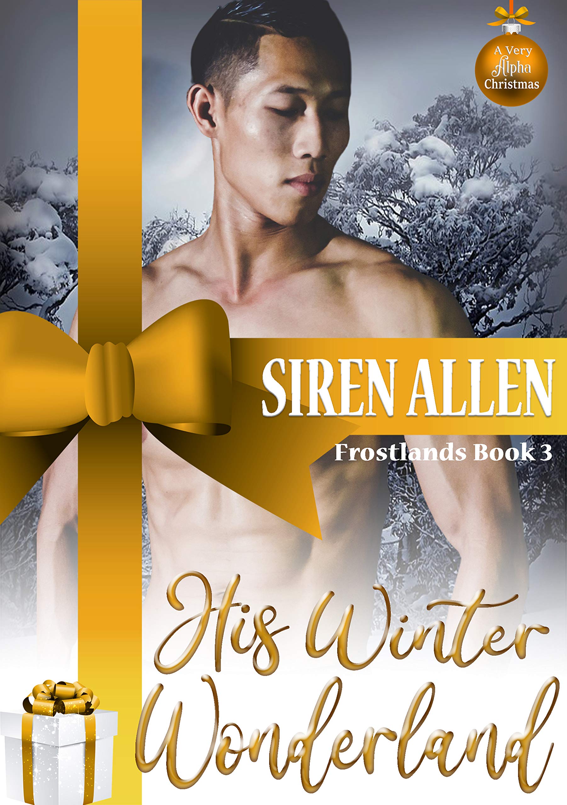 His Winter Wonderland (Kindle Edition)