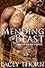 Mending the Beast (Awakenin...
