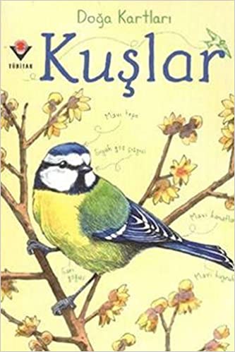 Doğa Kartları - Kuşlar (Paperback)