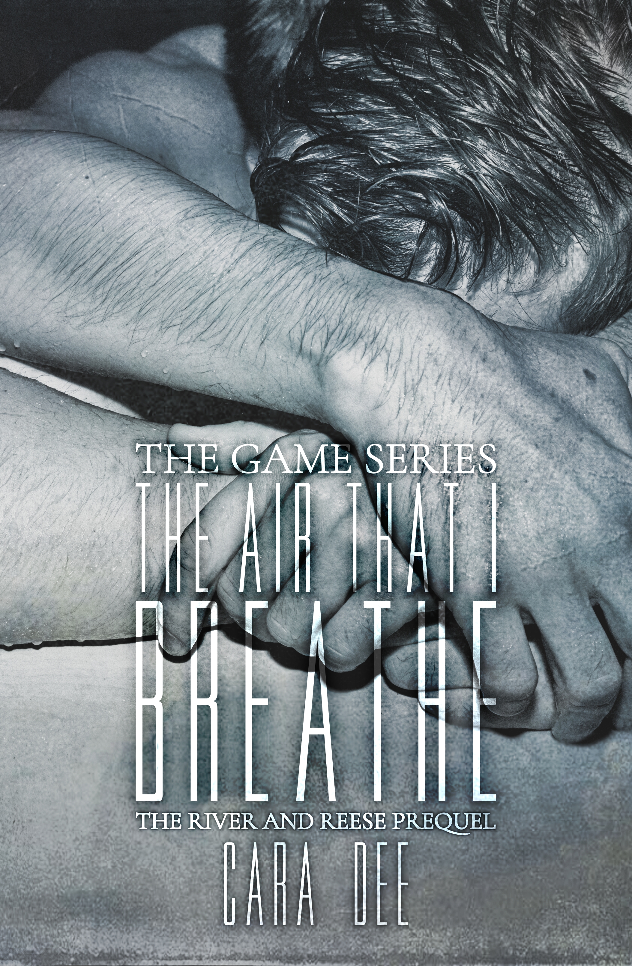 The Air That I Breathe (The Game, #3.5)