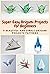 Super Easy Origami Projects for Beginners by April Teague