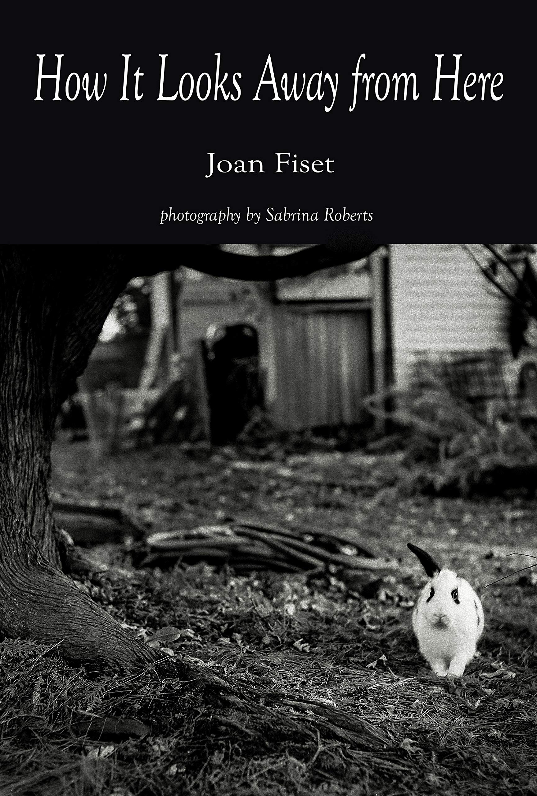 How It Looks Away from Here (Paperback)