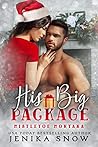 His Big Package by Jenika Snow