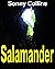 Salamander