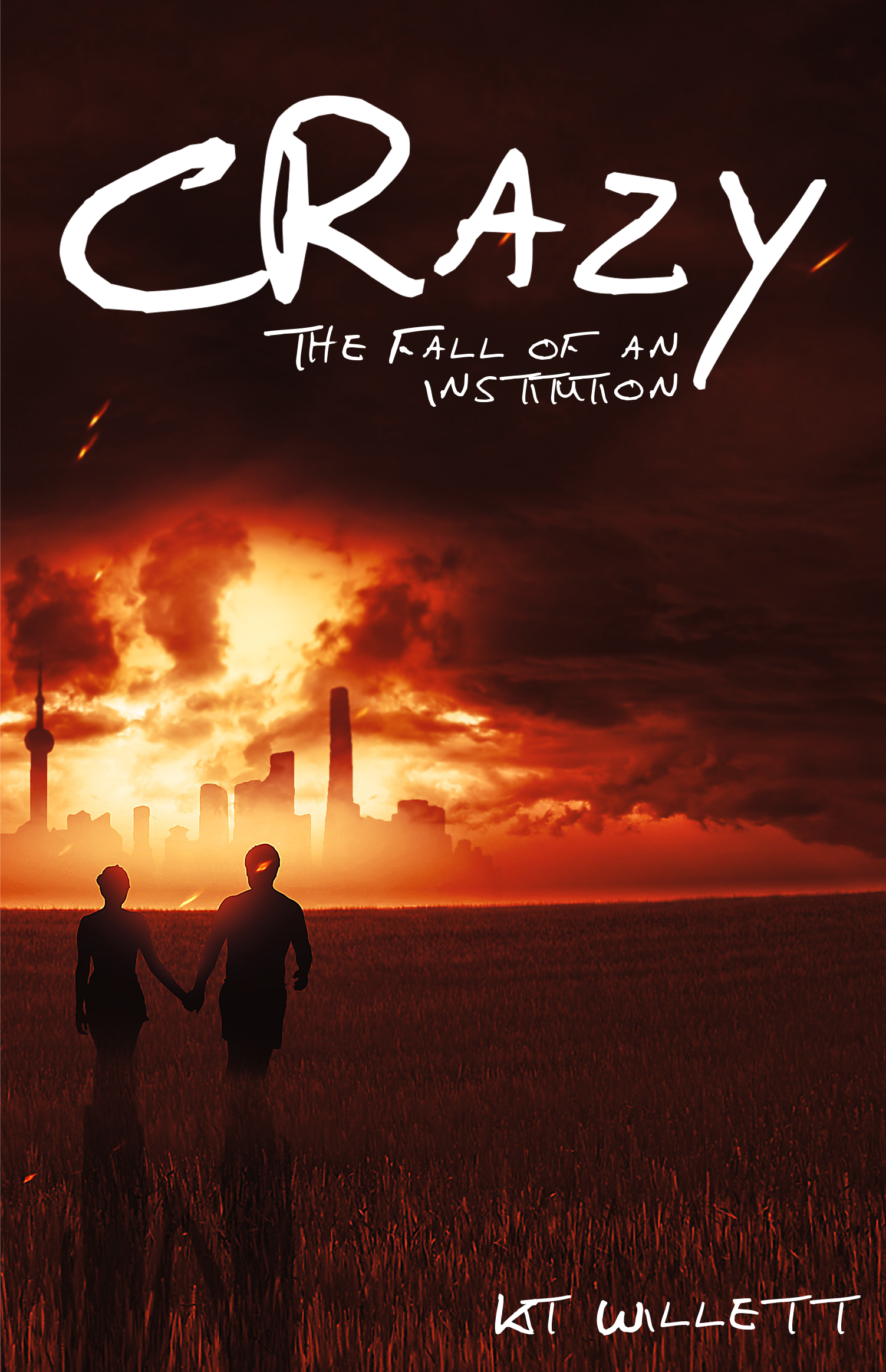 Crazy: The Fall of an Insitution