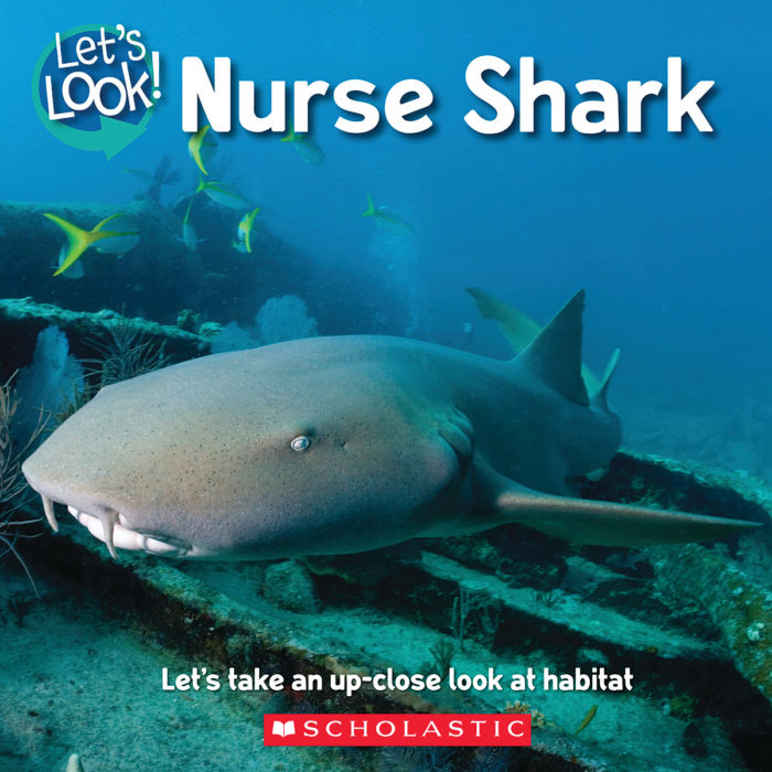 Nurse Shark (Paperback)