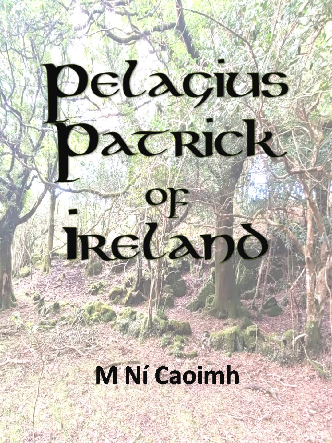 Pelagius Patrick of Ireland (Kindle Edition)