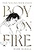 Boy on Fire by Mark Mordue