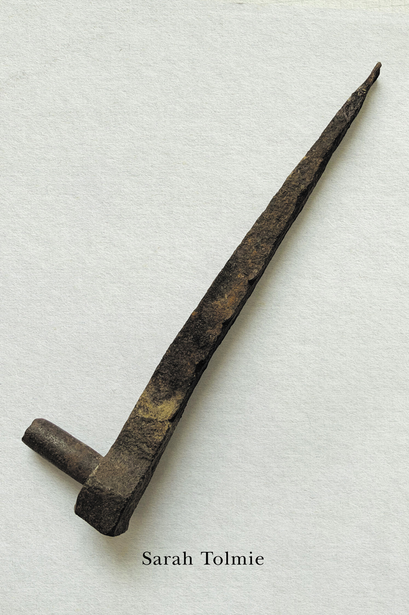 Check (Volume 56) (The Hugh MacLennan Poetry Series)