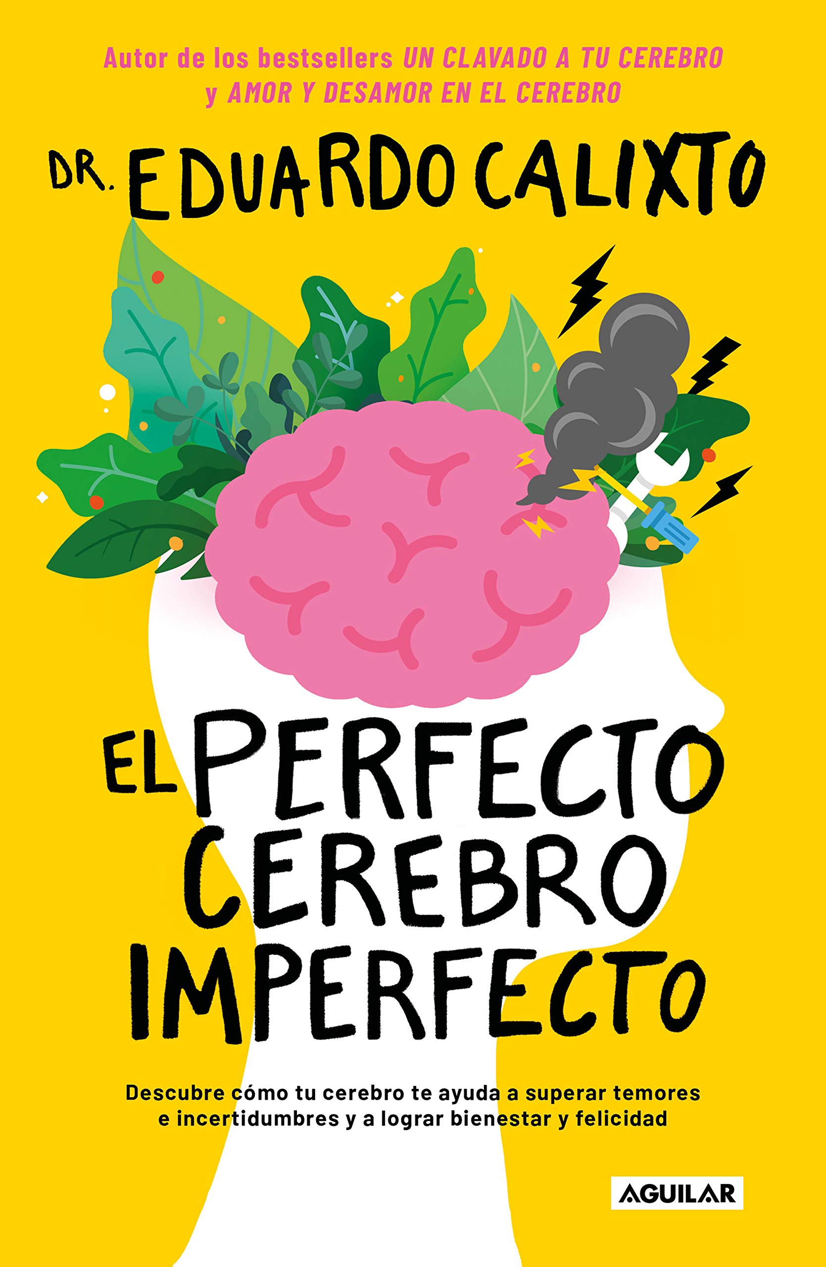 Portada de El perfecto cerebro imperfecto, de Eduardo Calixto
