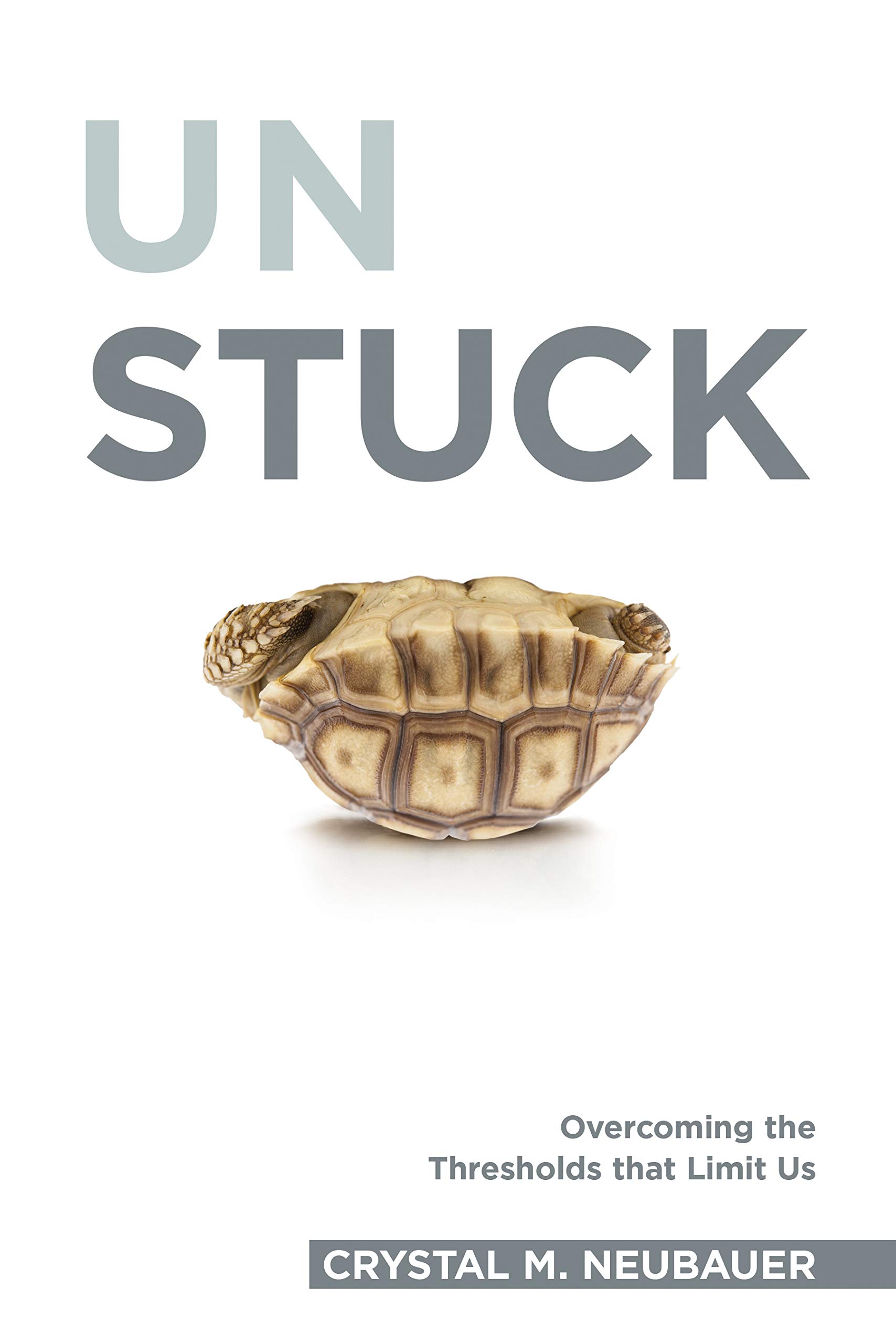 Unstuck: Overcoming the Thresholds that Limit Us (Kindle Edition)