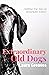 Extraordinary Old Dogs: Upl...