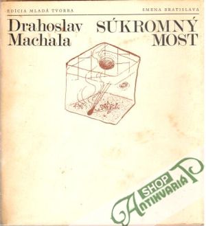 Súkromný most (Hardcover)