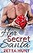 Her Secret Santa: A Short H...