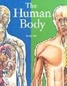 The Human Body The Human Body