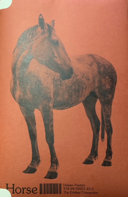 Horse (Paperback)