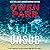 The Unsub (Joey Mancuso, Father O'Brian Crime Mystery, #7)