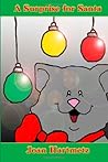 A Surprise For Santa by Joan Hartmetz