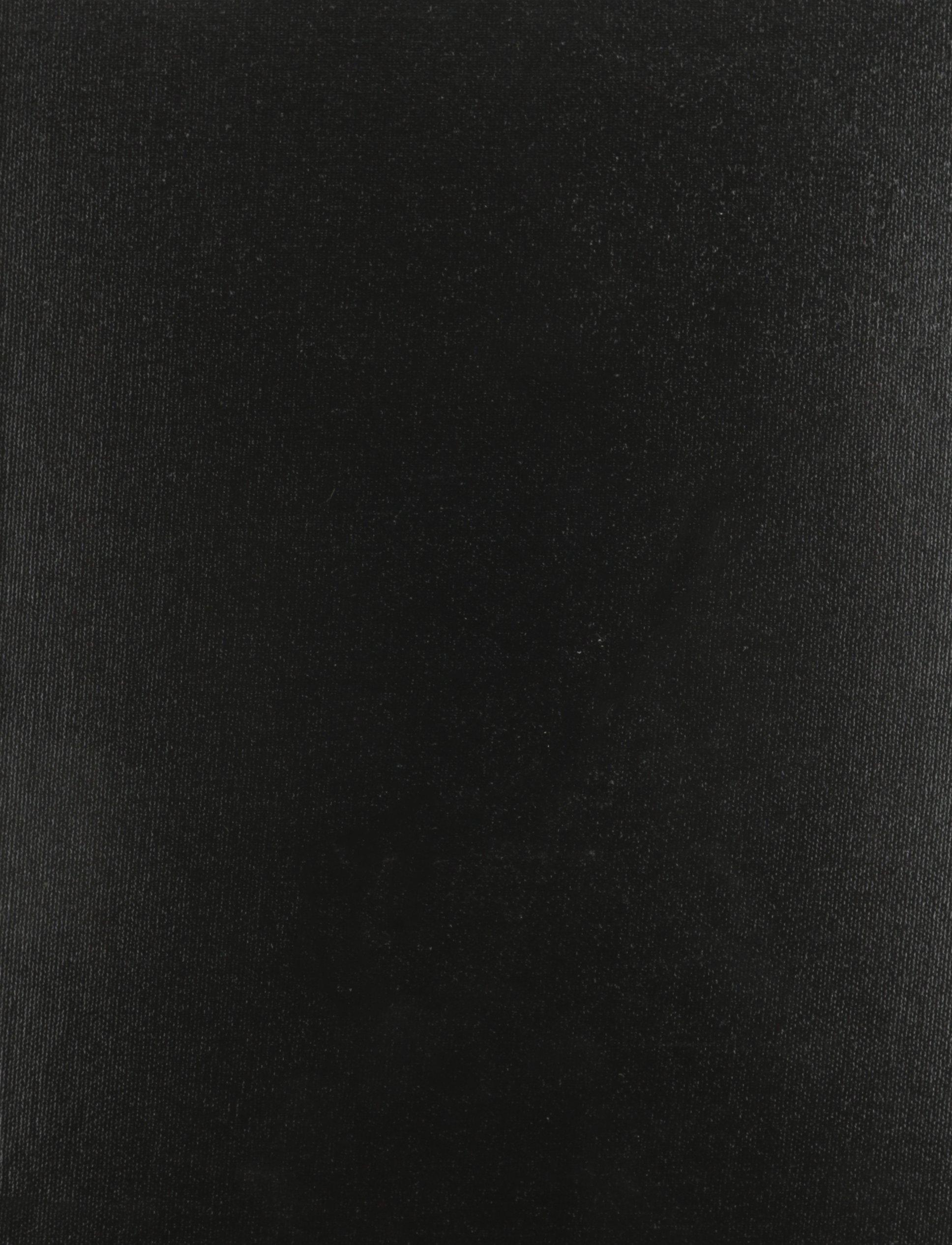 The Deepening Stream (Library Binding)