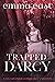 Trapped with Darcy: A Steam...