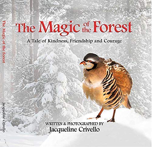The Magic of the Forest (Hardcover)