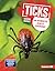 Ticks: An Augmented Reality Experience