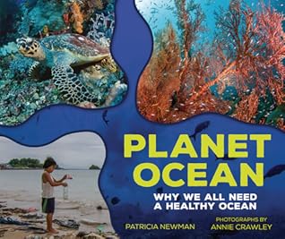 Planet Ocean: Why We All Need a Healthy Ocean