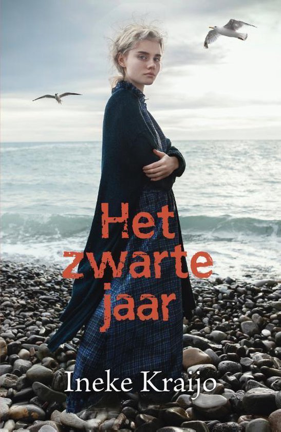 Het zwarte jaar (ebook)