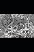 In the Days of the Comet Annotated